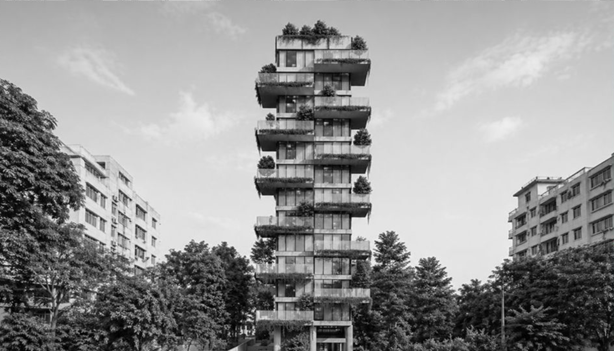 RANGS Tree House