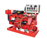 Diesel Pump